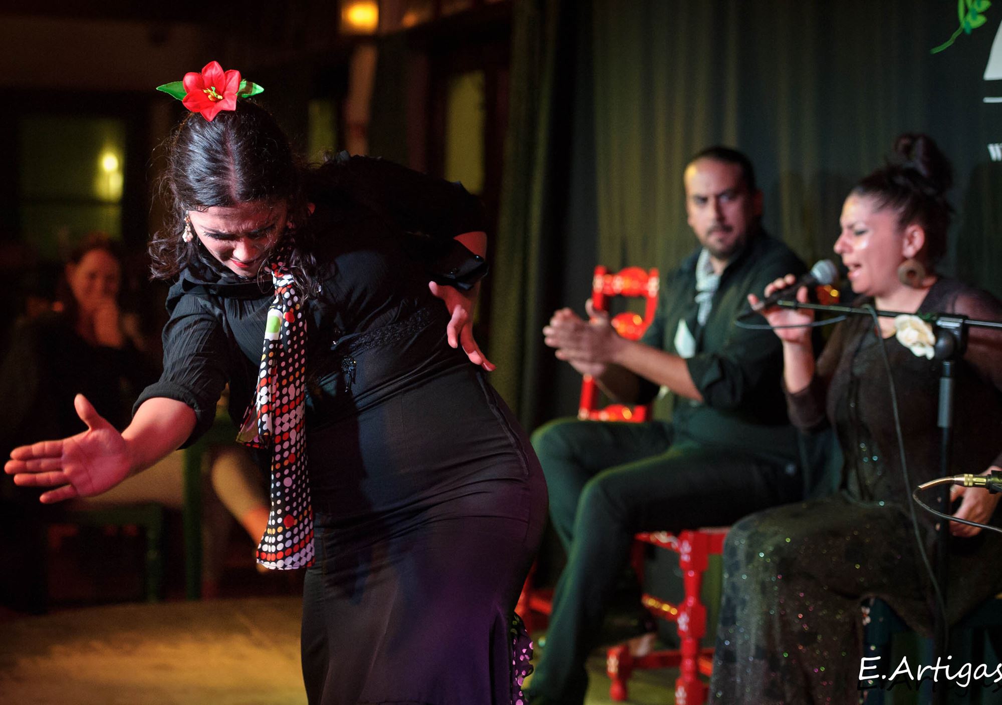 Flamenco-show Jardines de Zoraya in Granada